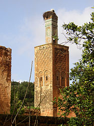 [mosque, Chella]
